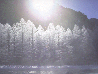 #htmlcaption4 雪の中のプライド